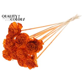 QC Shola Roos op stok | Kleur: Meerkleurig Gespetterd Oranje Rood | Shola Beauty Rose | Diameter 6 centimeter | Lengte ± 50 centimeter | 10 bijstekers per bos | Per bos