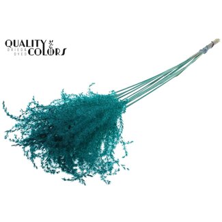 QC Gedroogde Prachtriet Pluimen | Kleur: Turquoise | Miscanthus Droogbloemen | Lengte ± 70 centimeter | 5 pluimen per bos | Per bos