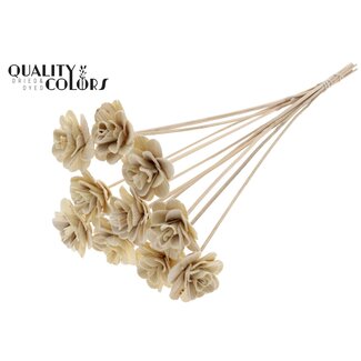 QC Shola Houten Roos op stok | Kleur: Naturelle Wit | Shola Beetal Rose Bijsteker | Diameter roos 6 centimeter | Lengte bijsteker ± 50 centimeter | 10 bijstekers per bos