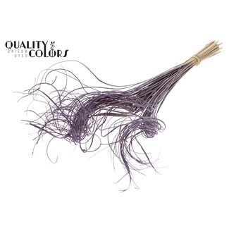 QC Dried Palm Leaf Vein | Curly Ting Ting | Colour: Frosted Milkapurple | Length ± 70 centimetres | 100 stems per bunch | Per bunch