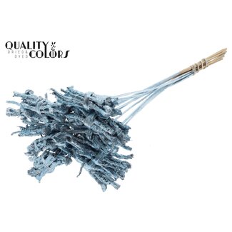 QC Decorative Coco Rose Posy on stick | Colour: Metallic Blue | Coco Rose Posy Stick | Stick length ± 50 centimetres | 10 sticks per bunch