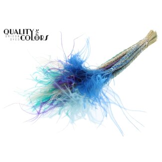 QC Gedroogd Stipa Vedergras “Scandinavische Mix” | Kleur: Gemengde Kleuren | Stypha Penata Droogbloemen | Lengte ± 60 centimeter | 10 pluimpjes per bos | Per bos