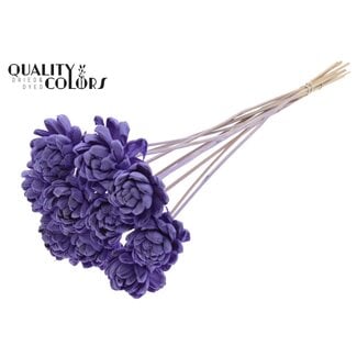 QC Shola rose on stem | Colour: Milk purple | Shola New Beauty Rose | Diameter 6 centimetre | Length ± 50 centimetre | 10 picks per bunch | Per bunch