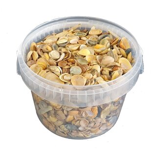 QC Shells north sea 3 ltr Yellow