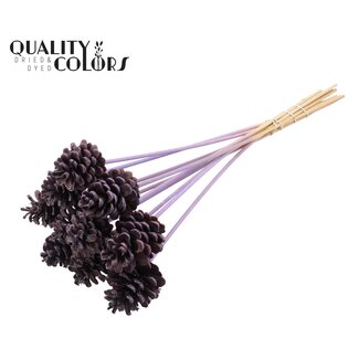 QC Pomme de pin sur tige | Couleur : Violet Lait Givré | Diamètre 5 - 7 centimètres | Longueur ± 50 centimètres | 10 piques par bouquet