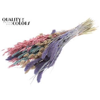 QC Dried Flower Mix Bouquet “Colourful 1” | Colour: Mixed Colours | Length ± 60 centimetres | Per bunch