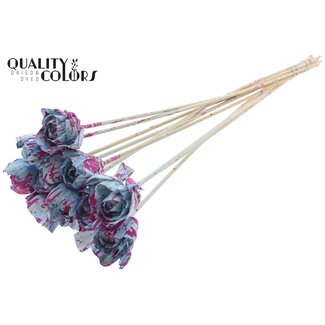 QC Shola Wooden Rose on Stem | Colour: Speckled Light Blue Cherry Colour | Shola Dear Holly Stem | Rose Diameter 6 centimetres | Stem Length ± 50 centimetres | 10 stems per bunch