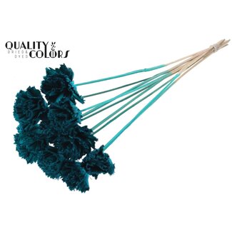QC Shola Houten Karnish Bloem op stok | Kleur: Turquoise | Shola Karnish Flower Bijsteker | Diameter bloem 6 centimeter | Lengte bijsteker ± 50 centimeter | 10 bijstekers per bos