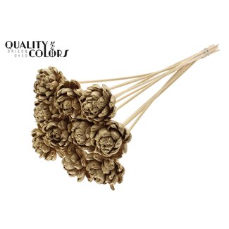 QC Shola Houten Roos op stok | Kleur: Antiek Goudkleurig | Shola New Beauty Rose Bijsteker | Diameter roos 6 centimeter | Lengte bijsteker ± 50 centimeter | 10 bijstekers per bos