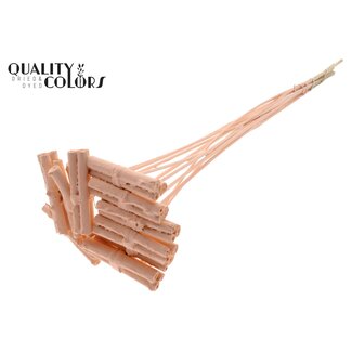 QC Decoratieve Jute Stokjes Boeketje op stok | Kleur: Abrikooskleurig | Jute Stick Posy Bijsteker | Lengte ± 50 centimeter | 10 bijstekers per bos