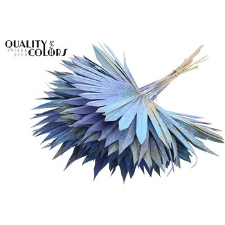 QC Gedroogde Palm Sun Spear | Kleur: Meerkleurig Lichtblauw | Palmbladeren in Waaiervorm | Lengte ± 50 centimeter | 10 takken per bos | Per bos
