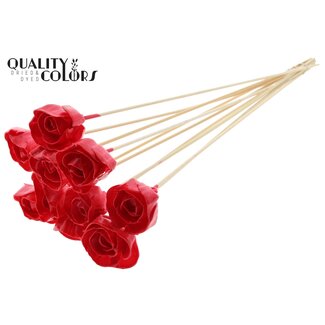 QC Shola Rozen met was op stok | Kleur: Rood | Shola Dear Holly | Diameter 6 centimeter | Lengte  ± 50 centimeter | 10 bijstekers per bos | Per bos