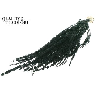 QC Dried Hanging Amaranthus | Colour: Black | Cat's Tail Dried Flowers | Length ± 70 centimetres | Per bunch