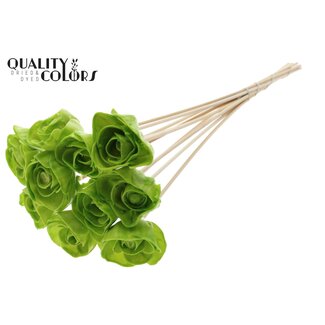 QC Shola Rozen met was op stok | Kleur: Lichtgroen | Shola Dear Holly | Diameter 6 centimeter | Lengte  ± 50 centimeter | 10 bijstekers per bos | Per bos