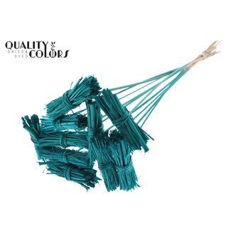 QC White Lady Boeketje op stok | Kleur: Turquoise | White Lady Posy Bijsteker | Lengte ± 50 centimeter | 10 bijstekers per bos