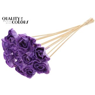 QC Shola Rozen met was op stok | Kleur: Milkapaars | Shola Dear Holly | Diameter 6 centimeter | Lengte  ± 50 centimeter | 10 bijstekers per bos | Per bos
