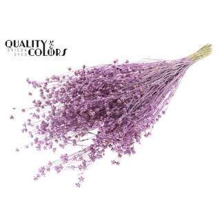 QC Lino Lin Séché | Couleur : Rose Métallique avec Paillettes | Fleurs Séchées de Linum | Longueur ± 50 centimètres | Poids 150 grammes | Par bouquet