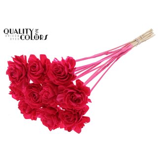 QC Shola Roos op stok | Kleur: Kerskleurig | Shola Beauty Rose | Diameter 6 centimeter | Lengte ± 50 centimeter | 10 bijstekers per bos | Per bos