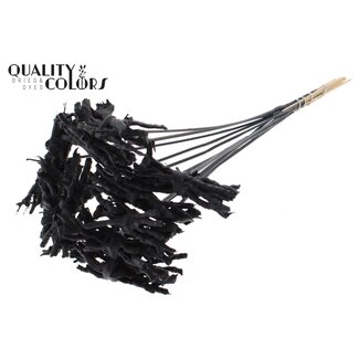 QC Decorative Coco Rose Posy on Stick | Colour: Black | Coco Rose Posy Stick | Stick Length ± 50 centimetres | 10 sticks per bunch