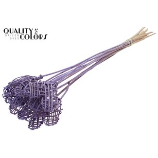 QC Rotan Lata Hart op stok | Kleur: Frosted Milkapaars | Lata Heart platte Bijsteker | Lengte ± 50 centimeter | 10 bijstekers per bos