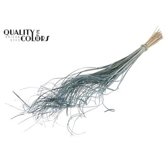 QC Dried Palm Leaf Vein | Curly Ting Ting | Colour: Frosted Light Blue | Length ± 70 centimetres | 100 stems per bunch | Per bunch