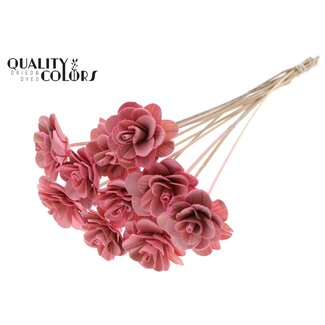 QC Shola Houten Roos op stok | Kleur: Lichtroze | Shola Beetal Rose Bijsteker | Diameter roos 8 centimeter | Lengte bijsteker ± 50 centimeter | 10 bijstekers per bos