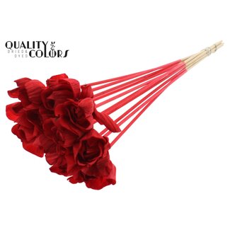 QC Shola Rozen op stok | Kleur: Rood | Shola Dear Holly | Diameter 6 centimeter | Lengte  ± 50 centimeter | 10 bijstekers per bos | Per bos