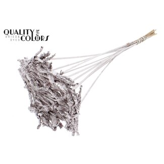 QC Decorative Coco Rose Posy on stick | Colour: Champagne | Coco Rose Posy Stick | Stick length ± 50 centimetres | 10 sticks per bunch