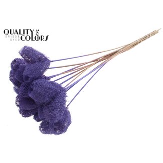 QC Luffa Heart Sponge on stick | Colour: Milka Purple | Loofah Stick | Length ± 50 centimetres | 10 sticks per bunch