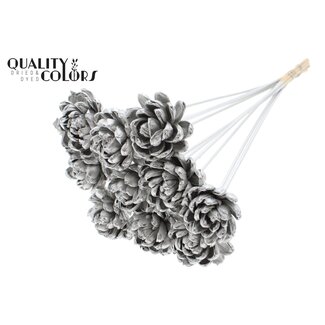 QC Shola Roos op stok | Kleur: Platinakleurig | Shola New Beauty Rose | Diameter 6 centimeter | Lengte ± 50 centimeter | 10 bijstekers per bos | Per bos