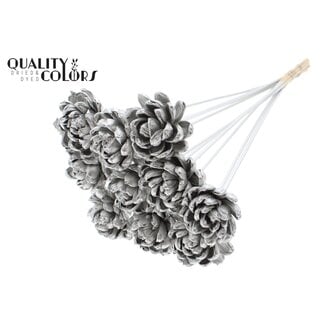 QC Shola rose on stem | Colour: Platinum-coloured | Shola New Beauty Rose | Diameter 6 centimeter | Length ± 50 centimeter | 10 picks per bunch | Per bunch