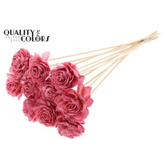 QC Shola Houten met was Dahlia op stok | Kleur: Lichtroze | Shola Dahlia Bijsteker | Diameter bloem 6 centimeter | Lengte bijsteker ± 50 centimeter | 10 bijstekers per bos