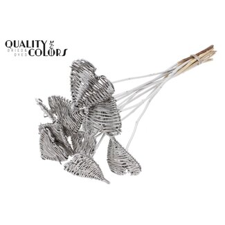 QC Rotan Lata Hart op stok | Kleur: Platinakleurig | Lata Heart platte Bijsteker | Diameter 8 centimeter | Lengte ± 50 centimeter | 10 bijstekers per bos