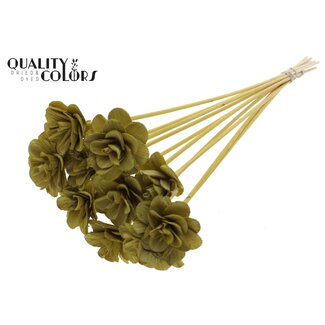 QC Shola Wooden Rose on Stem | Colour: Olive Green | Shola Beetal Rose Pick | Rose Diameter 6 centimetres | Pick Length ± 50 centimetres | 10 picks per bunch