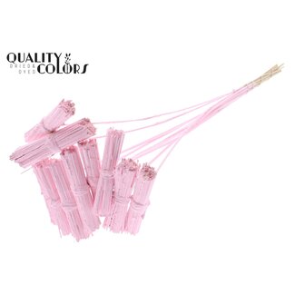 QC Kore Bouquet on Stick | Colour: Light Pink | Kore Stick Insert | Stick Insert Length ± 50 centimetres | 10 stick inserts per bunch