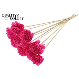 QC Shola Houten met was Dahlia op stok | Kleur: Kerskleurig | Shola Dahlia Bijsteker | Diameter bloem 6 centimeter | Lengte bijsteker ± 50 centimeter | 10 bijstekers per bos