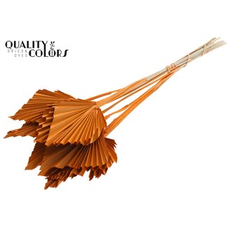 QC Palmier Séché en Lance | Couleur : Orange | Feuilles de Palmier en Forme de Lance | Longueur ± 50 centimètres | 10 branches par bouquet | Par bouquet
