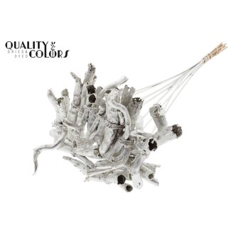 QC Gandiraj Schors op stok | Kleur: Metallic Platinakleurig | Gandiraj Bijsteker | Lengte ± 50 centimeter | 10 bijstekers per bos