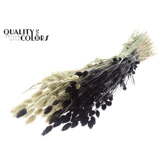 QC Gedroogde Phalaris | Kleur: Tweekleurig Zwart | Kanariegras Droogbloemen | Lengte ± 60 centimeter | Gewicht 220 gram | Per bos