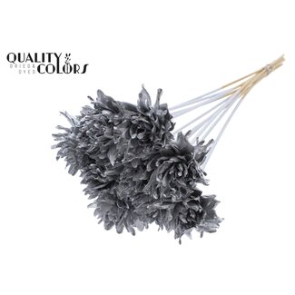 QC Shola flower on stem | Colour: Silver-coloured | Shola Slice Pine | Diameter 6 centimeter | Length ± 50 centimeter | 10 extra picks per bunch | Per bunch