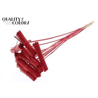 QC Kore Bouquet on stick | Colour: Red | Kore Insert Stick | Insert stick length ± 50 centimetres | 10 insert sticks per bunch