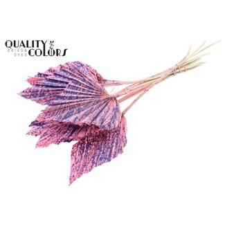 QC Gedroogde Palm Spear | Kleur: Gespetterd Roze Milkapaars | Palmbladeren in Speervorm | Lengte ± 55 centimeter | 10 takken per bos | Per bos