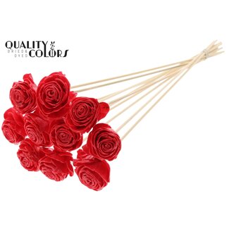 QC Shola Rozen met was op stok | Kleur: Rood | Shola Beauty Rose | Diameter 6 centimeter | Lengte ± 50 centimeter | 10 bijstekers per bos | Per bos