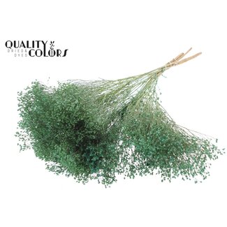 QC Gedroogde Broom Bloom | Kleur: Frosted Mintgroen | Brem Droogbloemen | Lengte ± 50 centimeter | Gewicht 100 gram | Per bos
