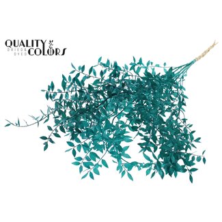 QC Getrockneter Ruscus | Farbe: Türkis | Ruscus Trockenblumen | Länge ± 70 Zentimeter | 10 Zweige pro Bund | Pro Bund