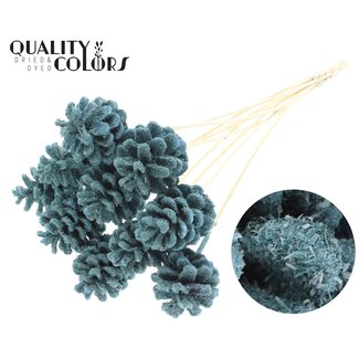 QC Dennenappel op stok | Kleur: Sawdust Lichtblauw | Diameter 5 - 7 centimeter | Lengte ± 50 centimeter | 10 bijstekers per bos