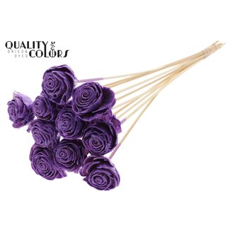 QC Shola Rozen met was op stok | Kleur: Milkapaars | Shola Beauty Rose | Diameter 6 centimeter | Lengte ± 50 centimeter | 10 bijstekers per bos | Per bos