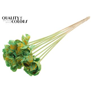 QC Shola Rozen op stok | Kleur: Gespetterd Mintgroen Geel | Shola Dear Holly | Diameter 6 centimeter | Lengte  ± 50 centimeter | 10 bijstekers per bos | Per bos