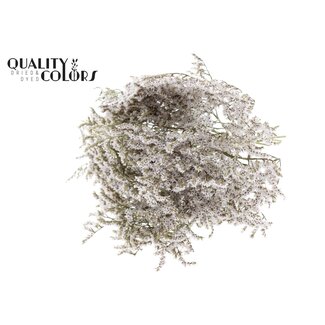QC Dried Sea Lavender | Colour: Naurelle White | Limonium Tataricum Dried Flowers | Length ± 30 cm | Weight 45 grams | Per bunch
