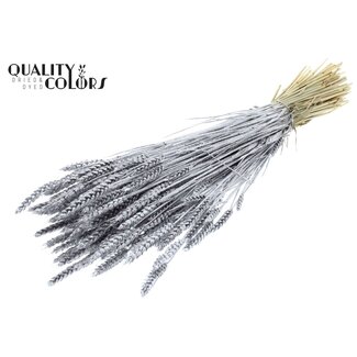 QC Getrockneter Weizen | Farbe: Silberfarben + Glitzer | Triticum Trockenblumen | Länge ± 60 Zentimeter | Gewicht 220 Gramm | Pro Bund